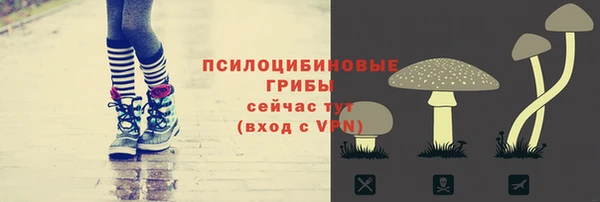 скорость Верхний Тагил
